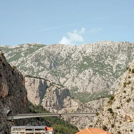 Vito Omis