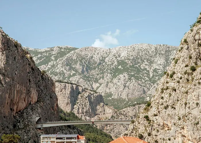 Vito Omis